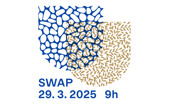 SWAP CHÝNĚ